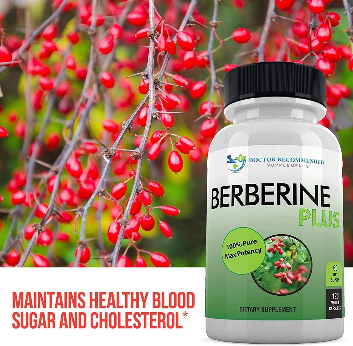 Berberine Plus 1200mg Per Serving - 120 Veggie Capsules Royal Jelly, Supports Glucose Metabolism, Healthy Immune System, Improves Cardiovascular Heart & Gastrointestinal Wellness : Health & Household