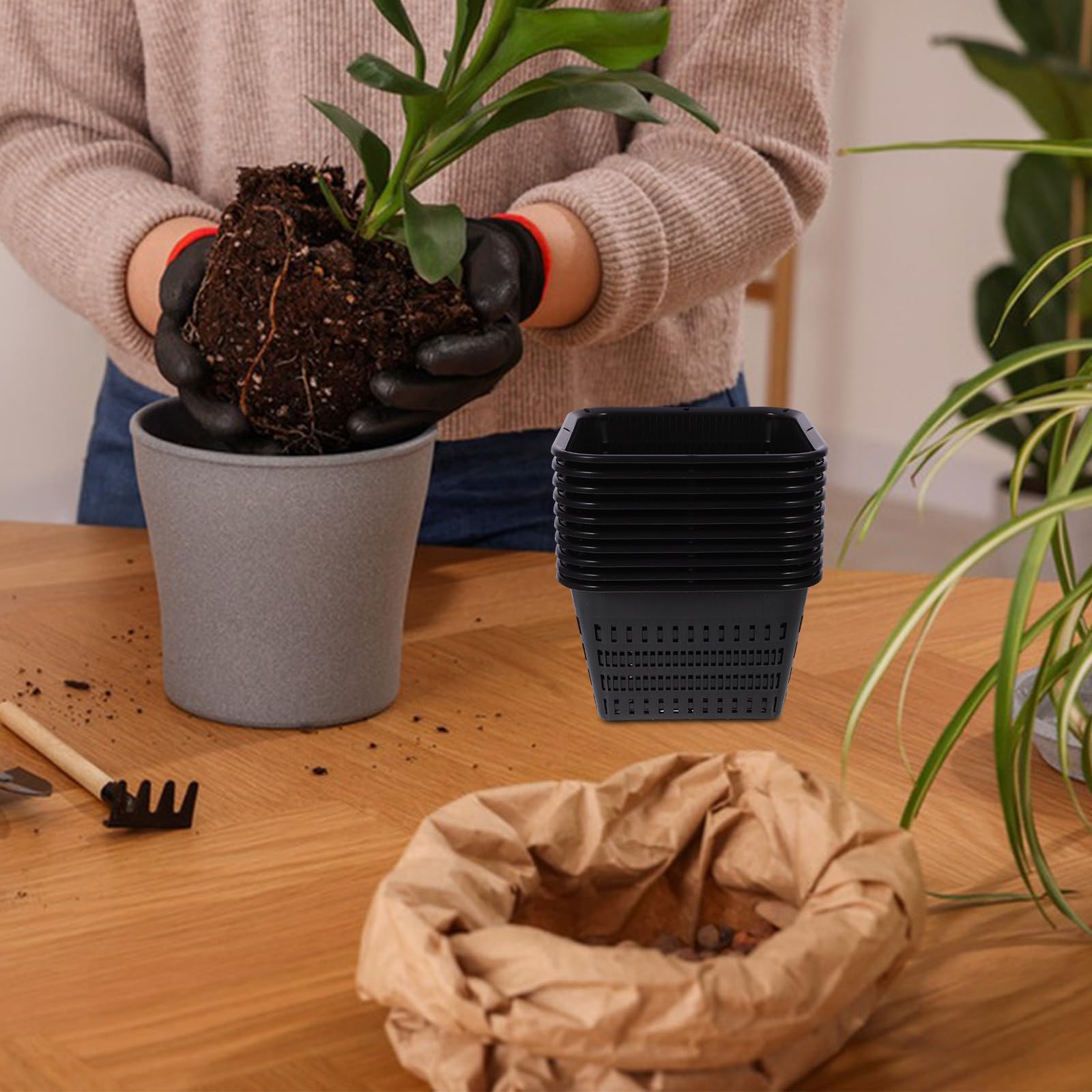 Gadpiparty 10 Pièces Pot à Orchidées en Plastique Noir Contrôle des Racines, sans Bavures, Plantation Rempotage des Plantes D'intérieur et D'extérieur
