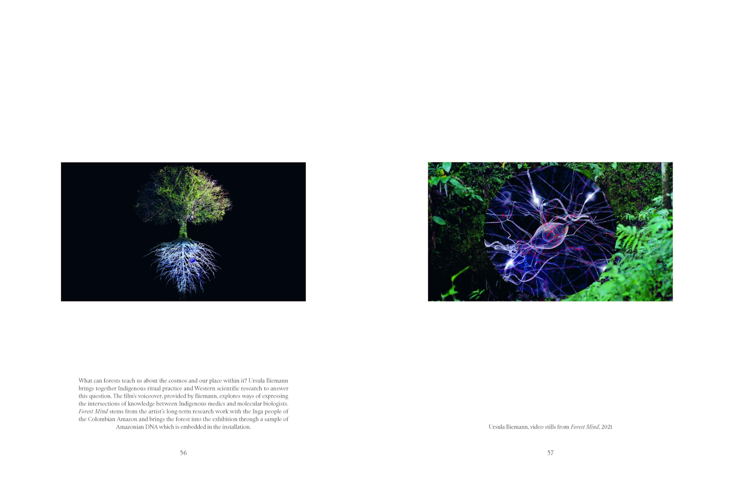 More Than Human: Making with the Living World