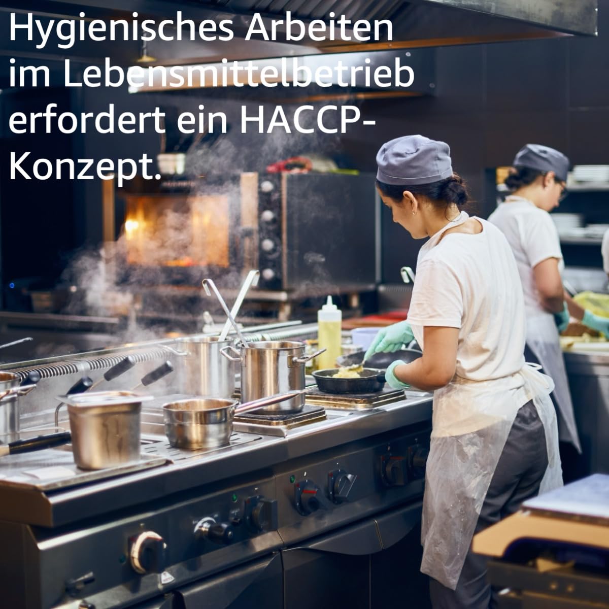 Hygiene Netzwerk HACCP-Konzept für Metzger | Checklisten & Arbeitsanweisungen | Metzgerei | Hygieneschulung | Infektionsschutzgesetz Schulung | Power-Point-Präsentation auf CD oder USB-Stick