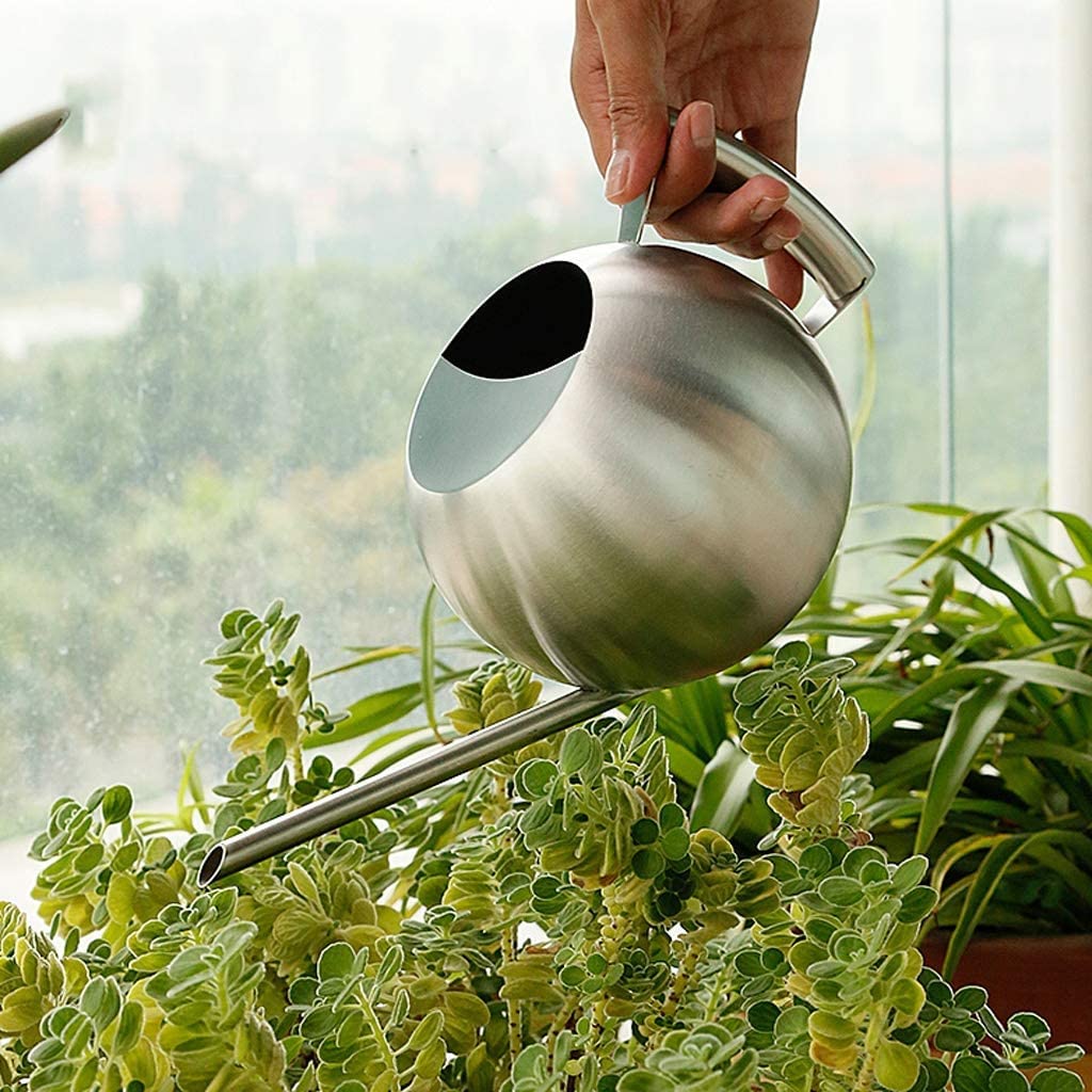 Pulvérisateur Arrosoir Arrosoir en Acier Inoxydable Longue Bouche Arrosoir 1L Arrosoir Vert Plante Pot Arrosoir Maison Jardinage Spray Bouteille Spray