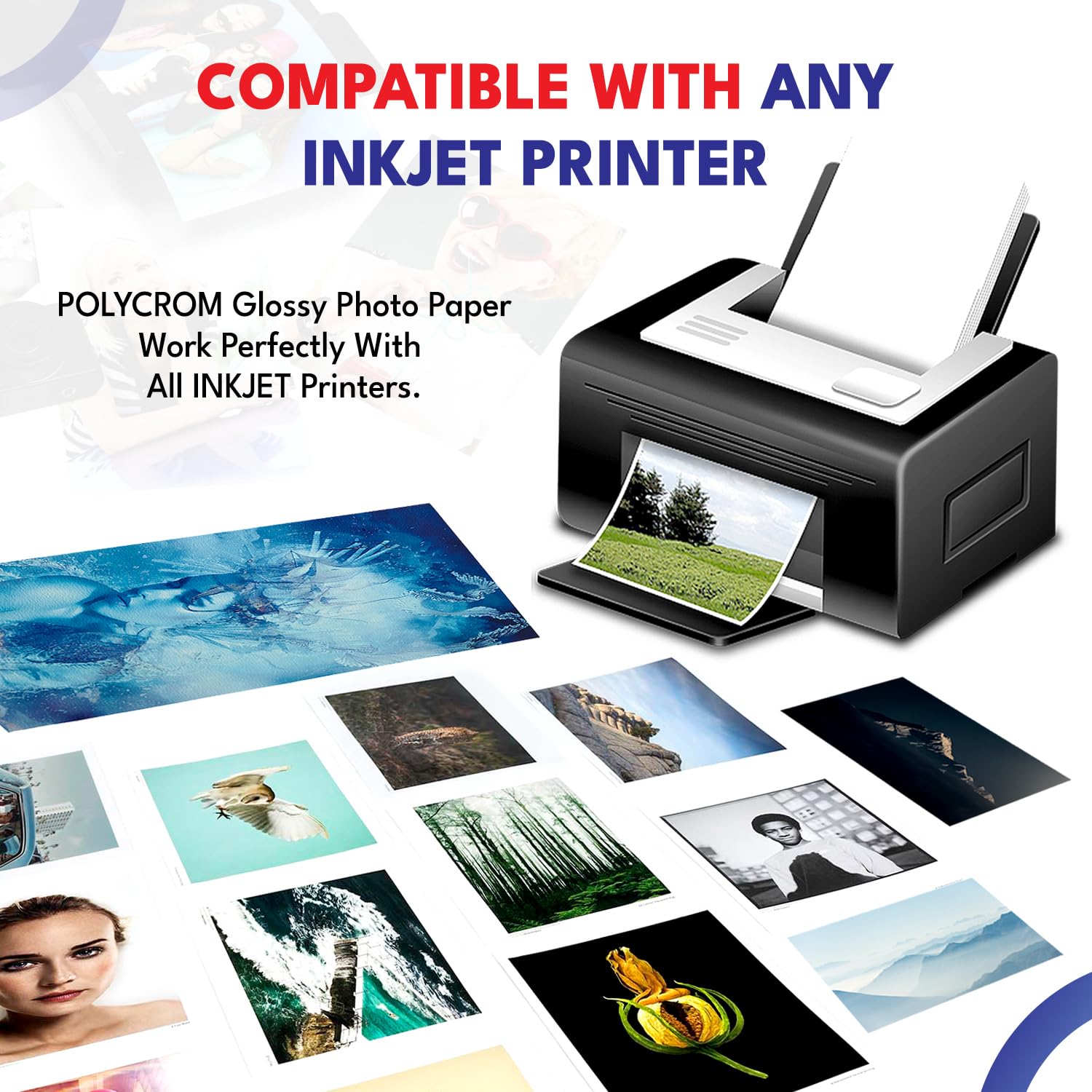 Polycrom Korean Photo Glossy Inkjet Paper A4 Size - White,Vibrant, Crisp, Smudge Proof, Dry Fast : 210 GSM 50 Sheets… 2