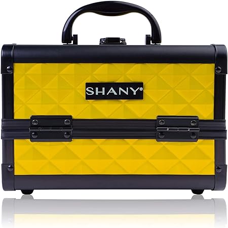 mini makeup train case