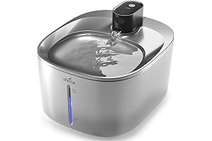 ipettie Water Fountain: Stainless Steel Oasis for Feline Hydration