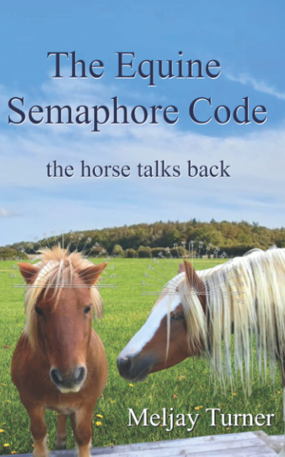 The Equine Semaphore Code: The Horse Talks Back