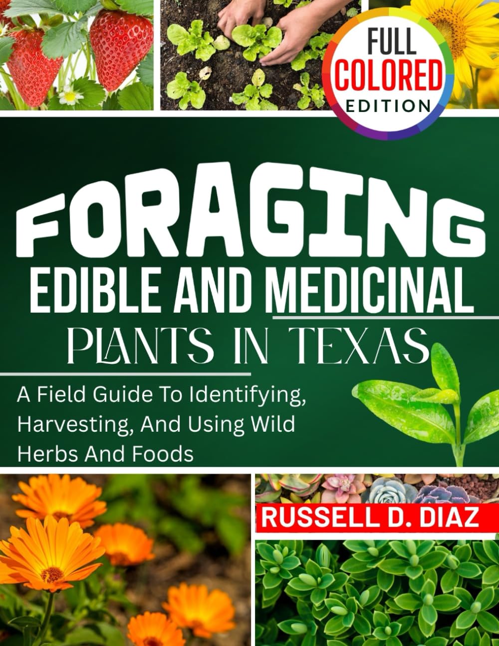 FORAGING EDIBLE AND MEDICINAL PLANTS IN TEXAS (FULL COLORED): A Field Guide To Identifying, Harvesting, And Using Wild Herbs And Foods