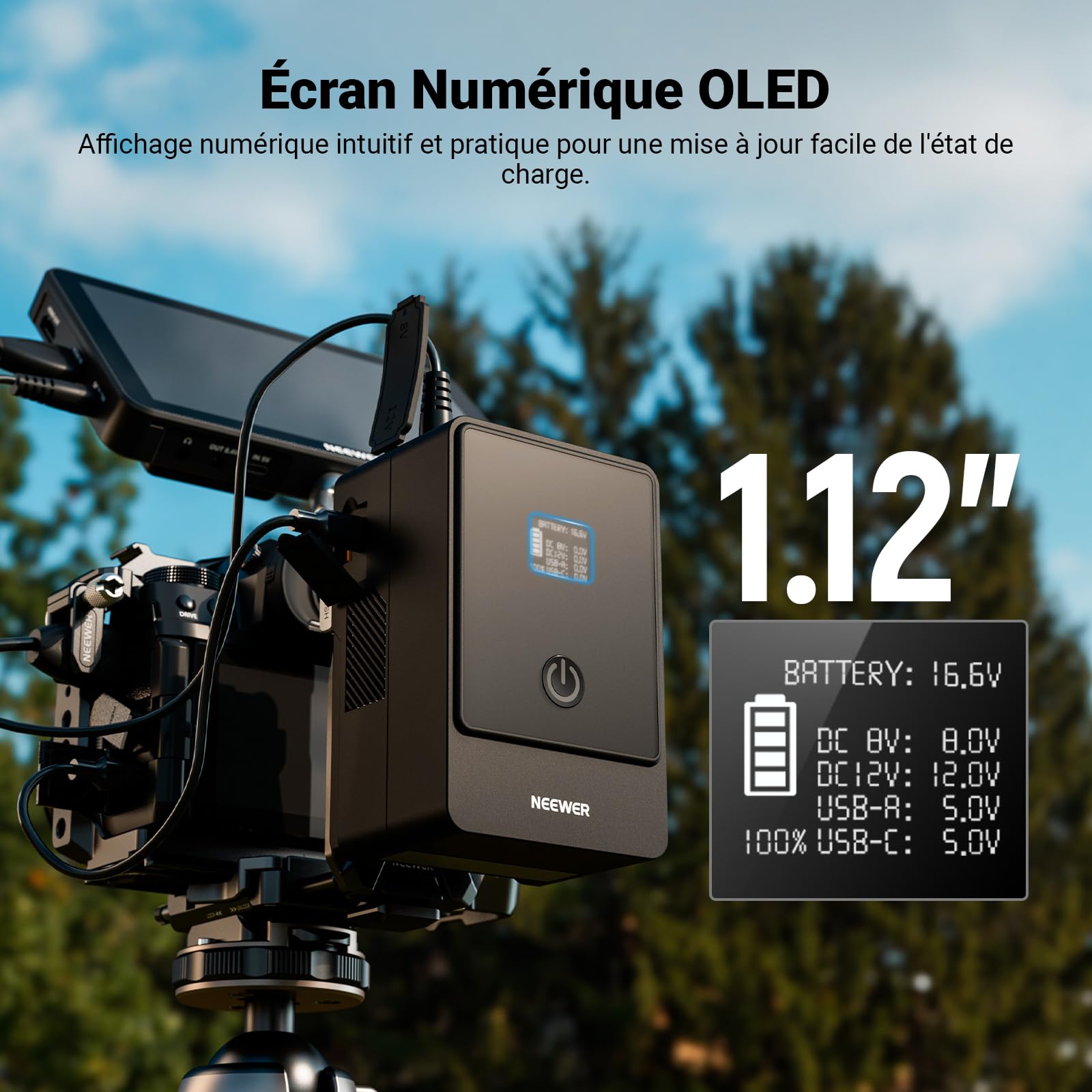 NEEWER Mini Batterie V Mount 6800mAh 99Wh 14,5V, Mini Batterie V-Lock avec PD 65W USB-C/D Tap/BP/USB A/Double Port DC/Écran OLED pour Appareil Photo Caméra,Compatible avec SmallRig BMPCC 4k 6k, PS099E