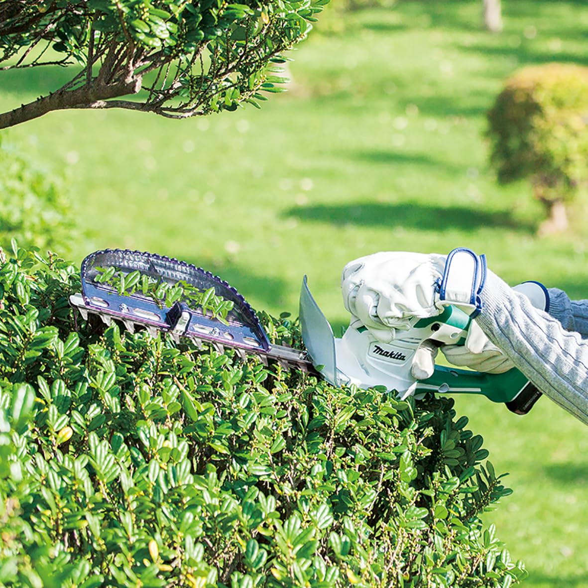 Amazon | マキタ(Makita) 260ミリ充電式生垣バリカン 14.4V2Ah 