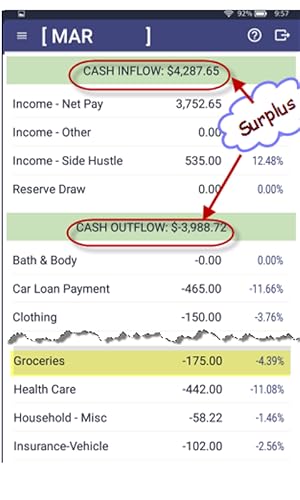 NetWorth2b Budget & Flow 2.0 - Premium Edition