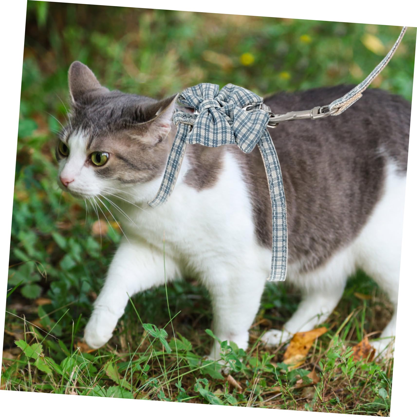 Sosoport 4sets Pettorina e Guinzaglio Per Gatti Regolabile e Leggera Per Passeggiate All Aperto Adatta Gattini Piccoli Facile Da Indossare e Comoda