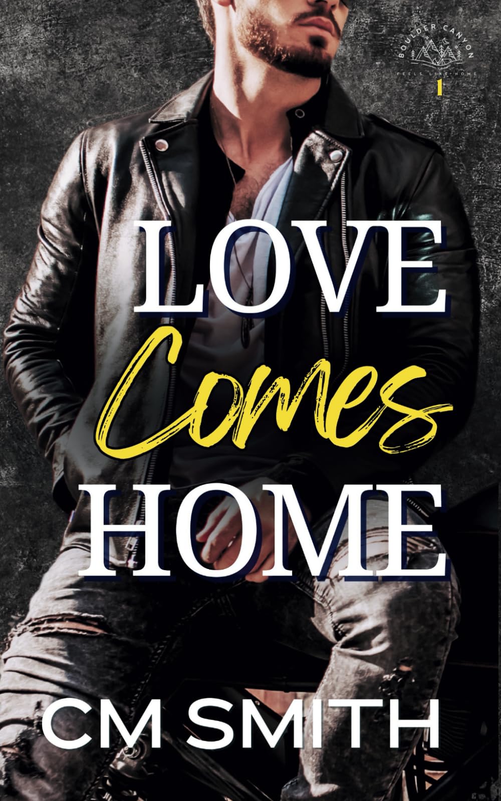 Love Comes Home: Small-Town Romantic Suspense