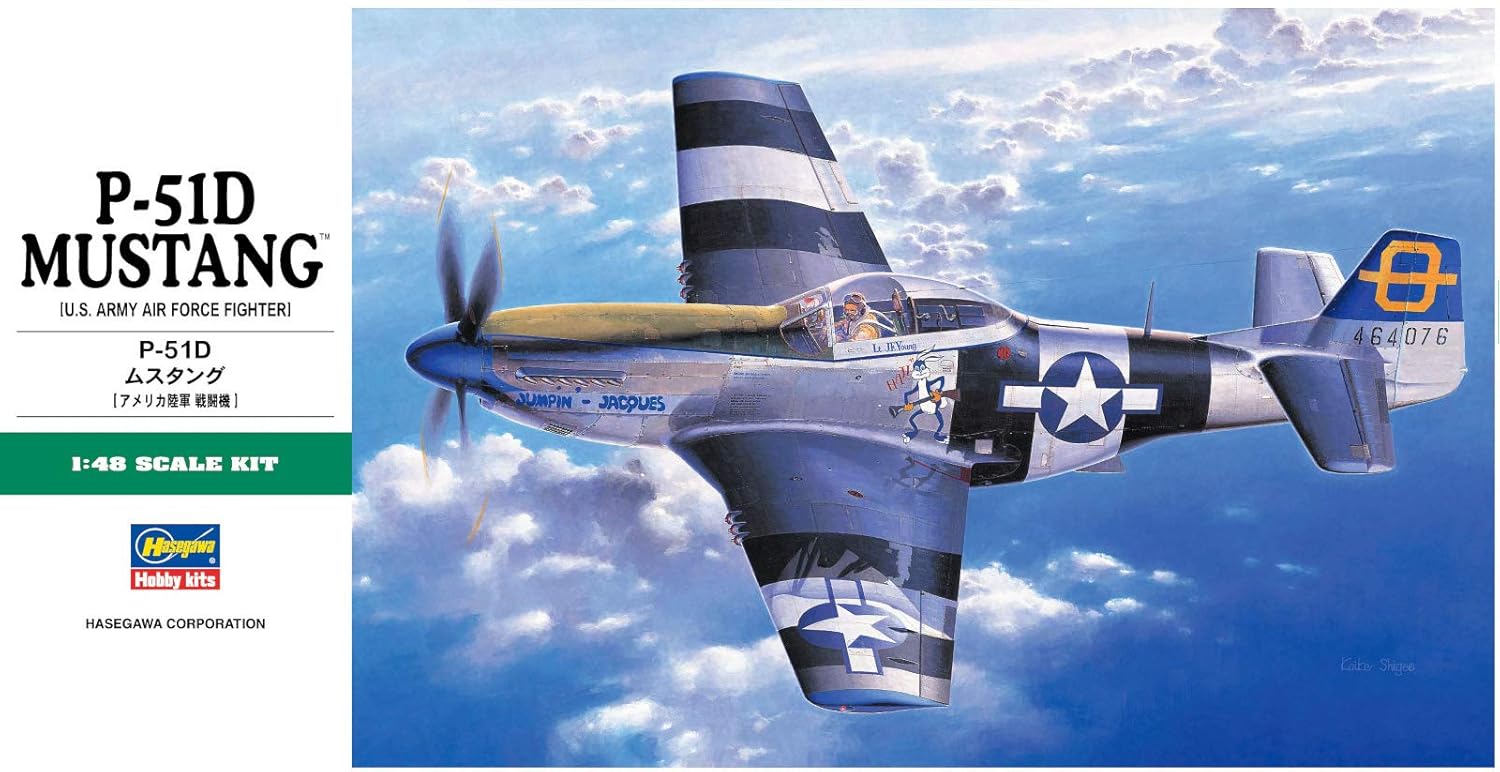 Hasegawa 1/48 P-51D Mustang