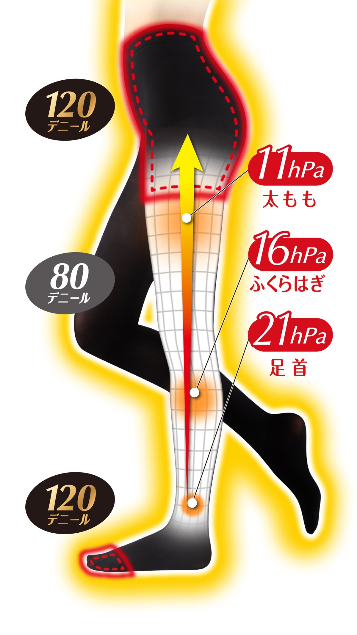 Amazon.co.jp: スリムウォーク 美脚タイツあったか満足プラス M-L  