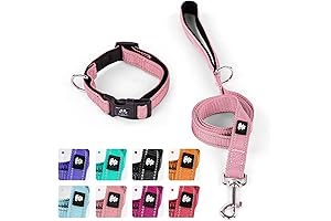 IVY&LANE Extra Small Dog Collar and Leash Set