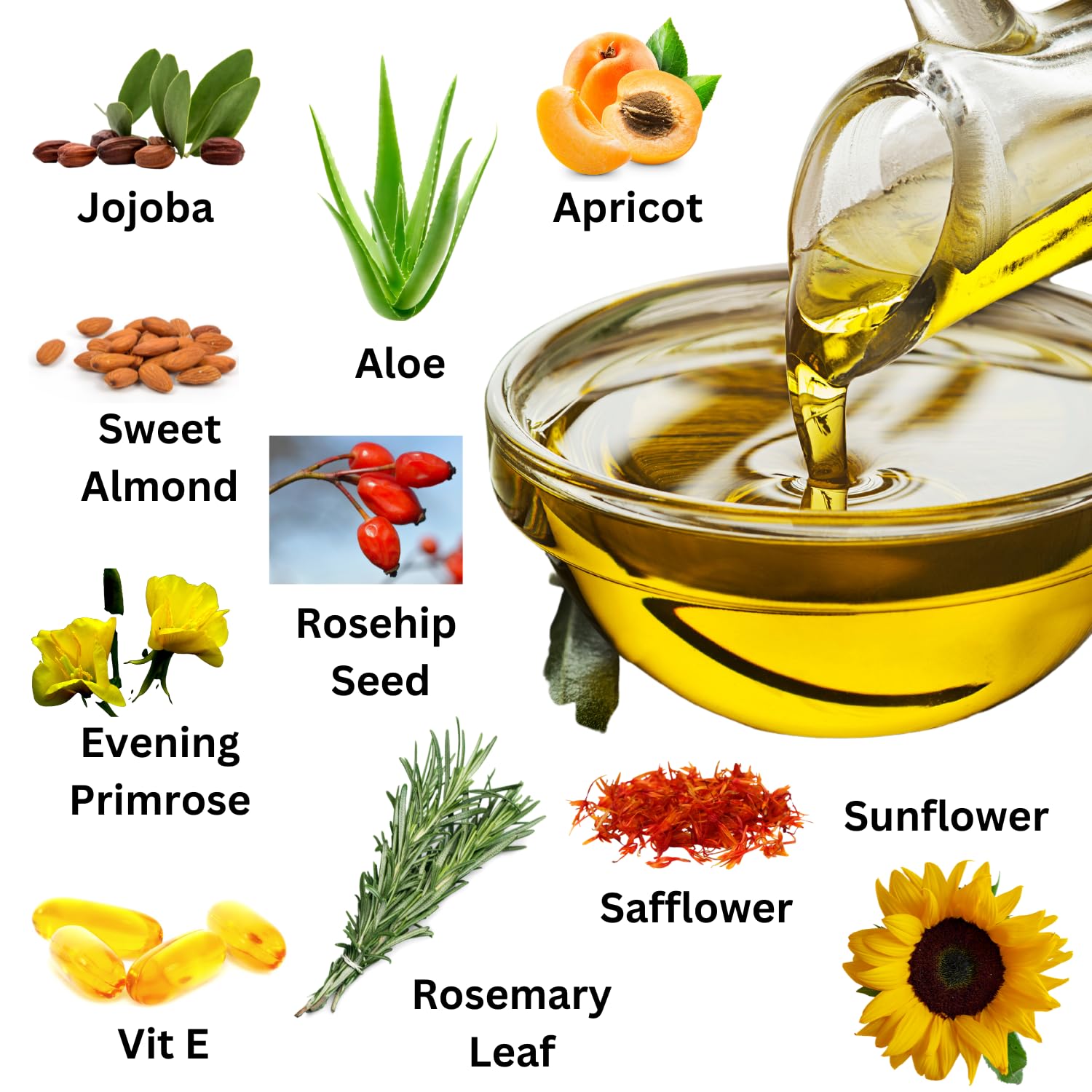 Amazon.com : Cupping Botanicals Cupping Massage Body Oil (UNSCENTED, 4 oz)  : Health & Household