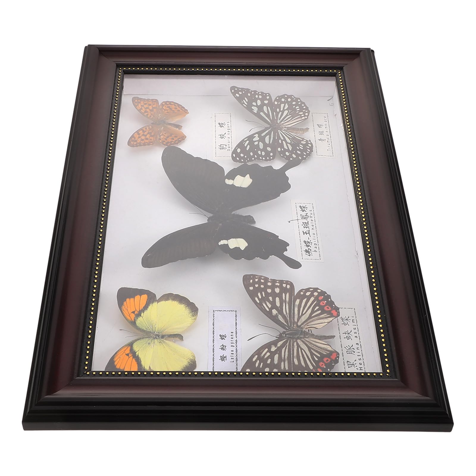 Marco de Fotos Decorativo de Madera Mariposas para Decoración de Pared Hogar, Diseño Práctico y Versátil Estilo Retro y Elegante