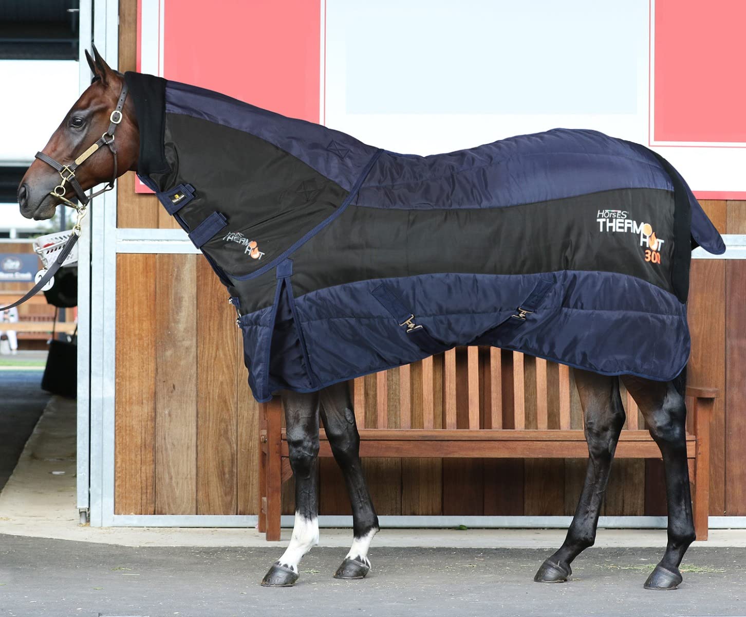 Horses, Manta Box con Cuello ThermoHOT 300 g, Excelente Factura, Útil para Proteger el Caballo de los Saltos de Temperatura, de la Lluvia y de los Insectos