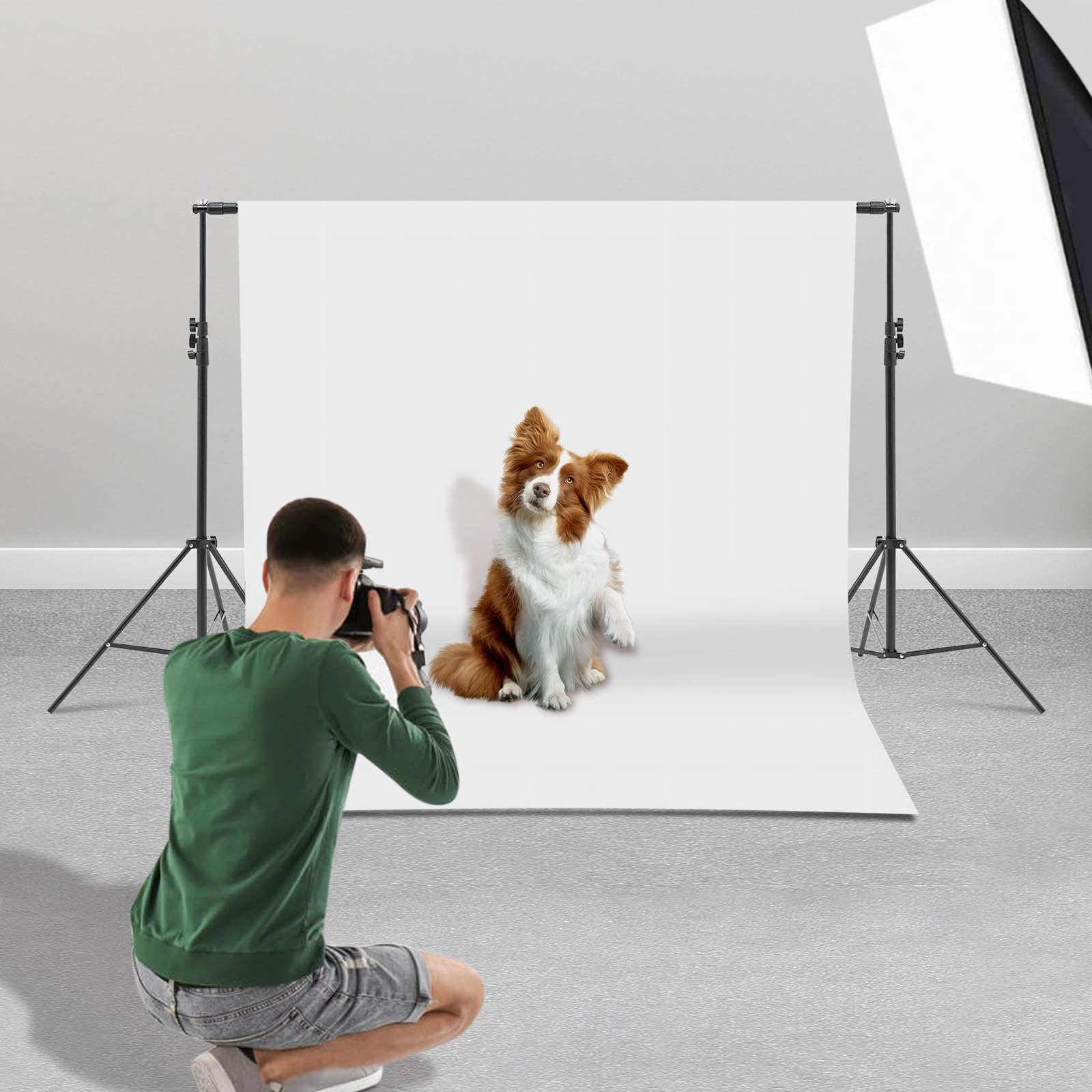 Regulowany stojak do studia fotograficznego, system tła, stojak z regulacją wysokości do 300 cm, nośność 5 kg, w zestawie 8 klipsów, 2 worki na piasek, torba do przenoszenia, czarna