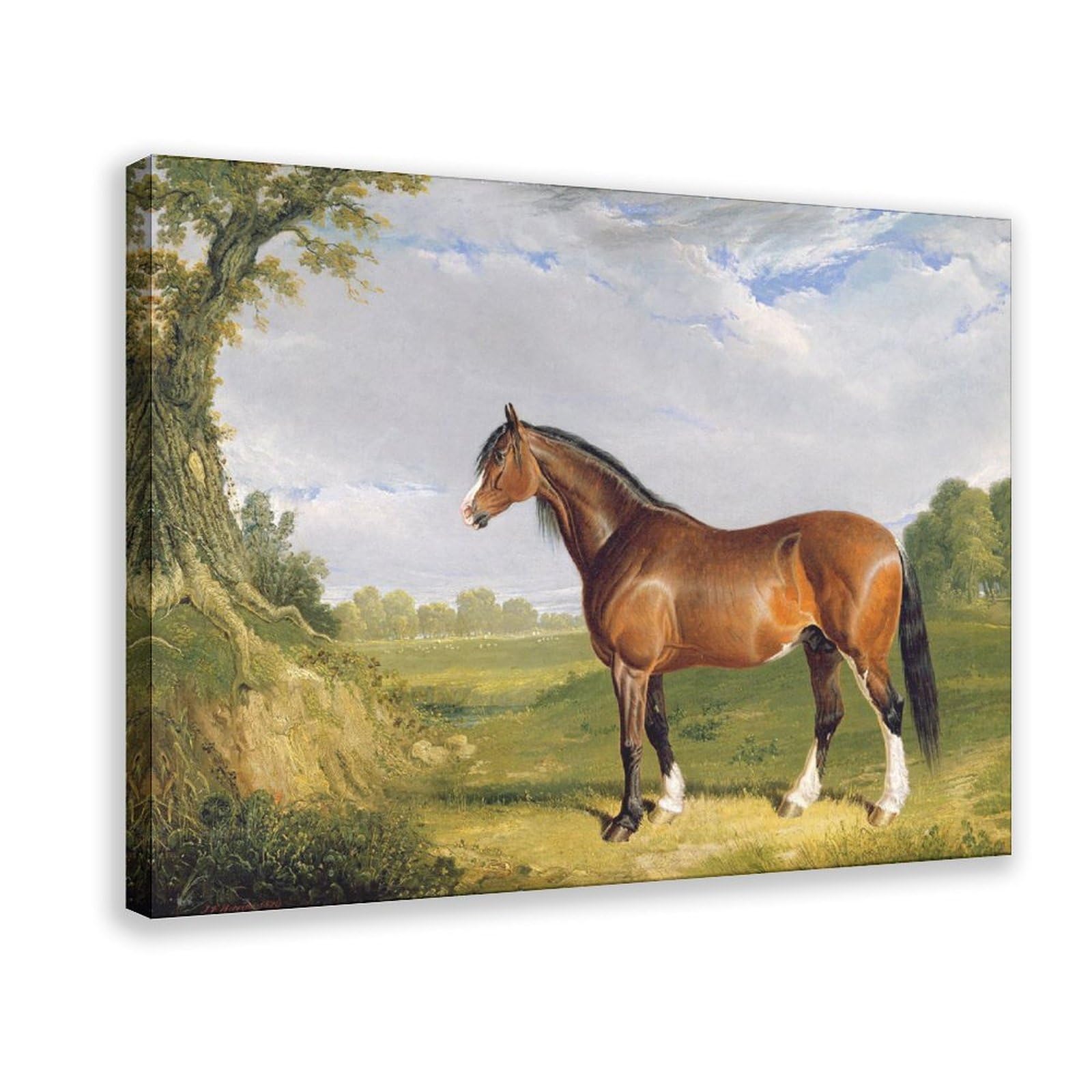 DFJyjFGJJ John Frederick Herring Snr,A Clydesdale Stallion Photograph Canvas Poster And Wall Art Picture Print Modern Family Bedroom Decor 12" L X 18" W