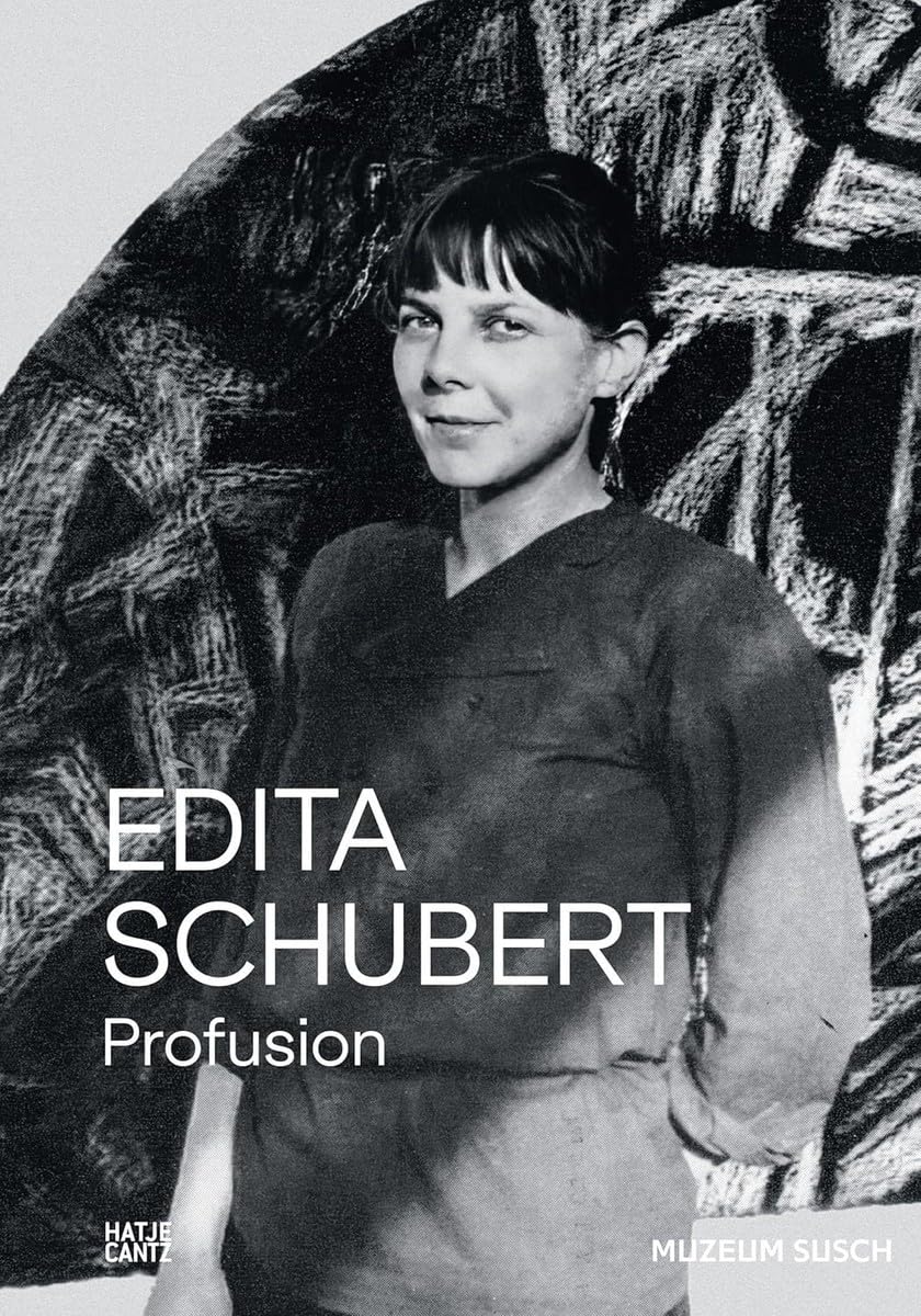 Edita Schubert And then somewhere we meet anglais monographie art contemporain catalogue