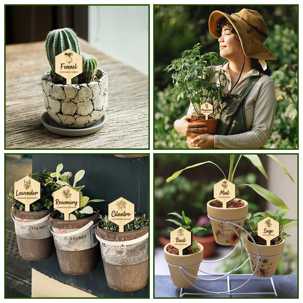 arricraft 15 Pz Legno Nome Pianta Etichette, 15 Stili Etichette Giardino con Nome Completo di Medicina Erboristica Marcatori di Legno per Piante Indoor ed Outdoor Erbe Seed Potting