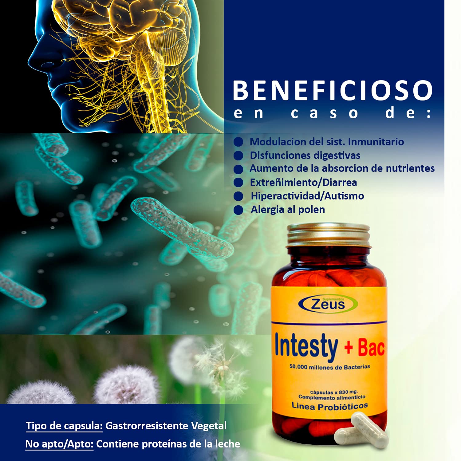INTESTY+BAC | Contribuye a equilibrar y regular la microbiota intestinal | Complemento Alimenticio a base de Fibersol®- 2, L-Glutamina, Probióticos y Vitamina B6 | 90 Cápsulas Vegetales