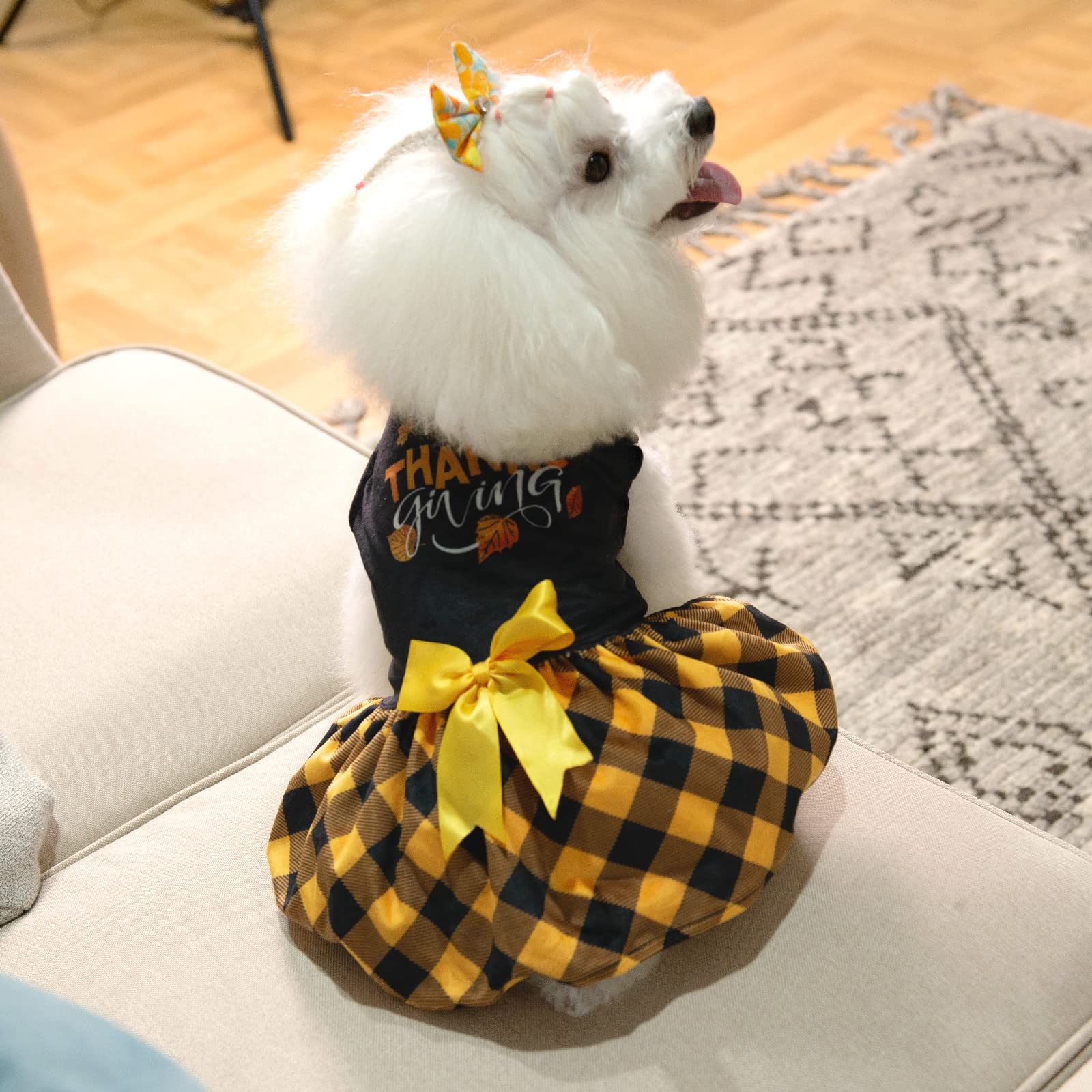 Cutebone Happy Thanksgiving Day Dog Fall Dress Costume Velvet Small |  Desertcart BAHRAIN