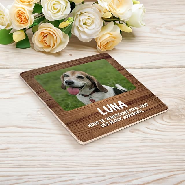 Foto 4 de 5 de Placa de recuerdo conmemorativa de plexiglás para mascota