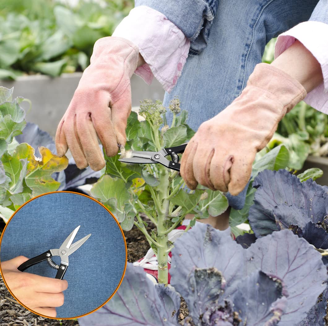 Ensemble d'outils pour bonsaï, 30 pièces, kit d'outils de jardinage d'intérieur pour débutant, comprend un tapis de rempotage de plantes, un sac en cuir, des ciseaux à bonsaï, des cadeaux pour les