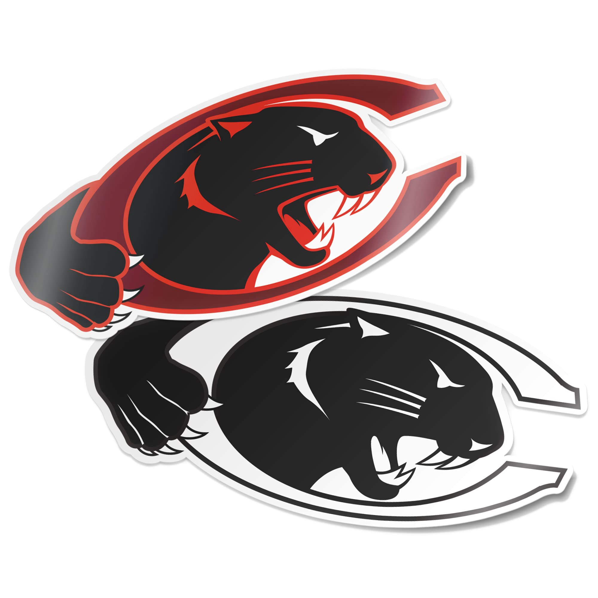 Desert Cactus Claflin University Sticker Panthers Sheet Vinyl Decal Laptop Water Bottle Car Scrapbook (4 Inch Set V1)