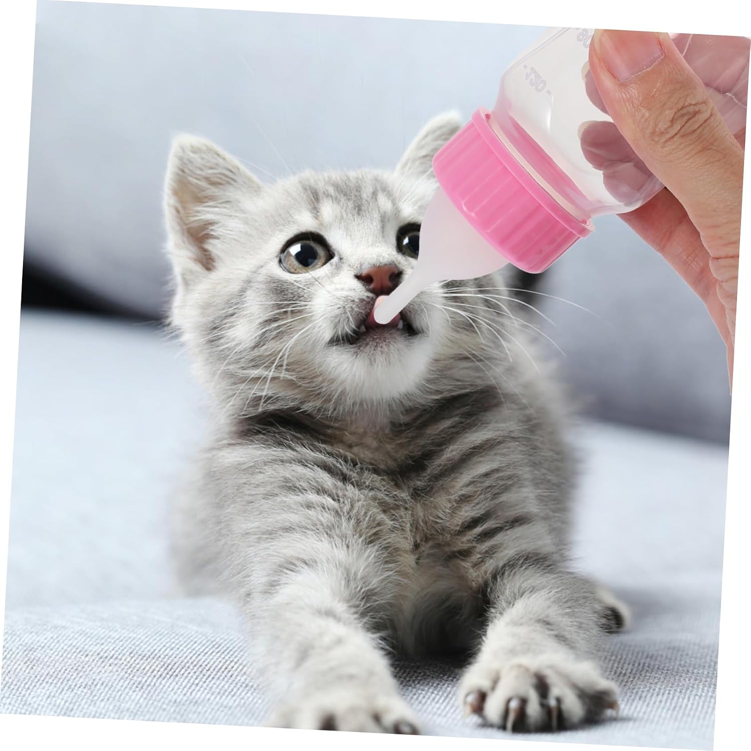 2pcs Cat Milk Bottle for Kitten Feeding Kitten Nursing Bottles Pet Feeder Pacifier Container