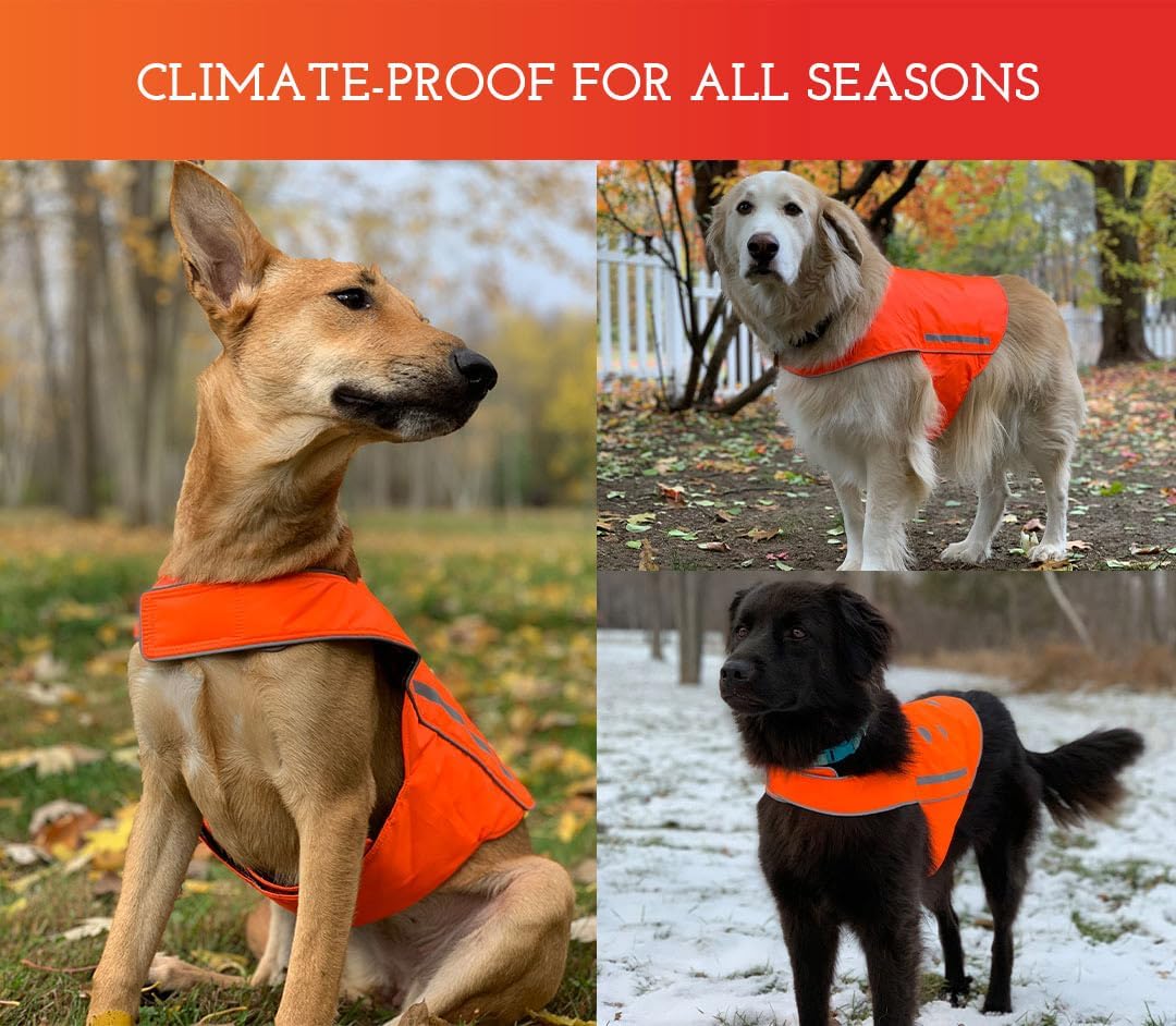 SPOT THE DOG! Easy Fastening Dog Vest, High Visibility Orange, Reflective, Sizes XS-XXL