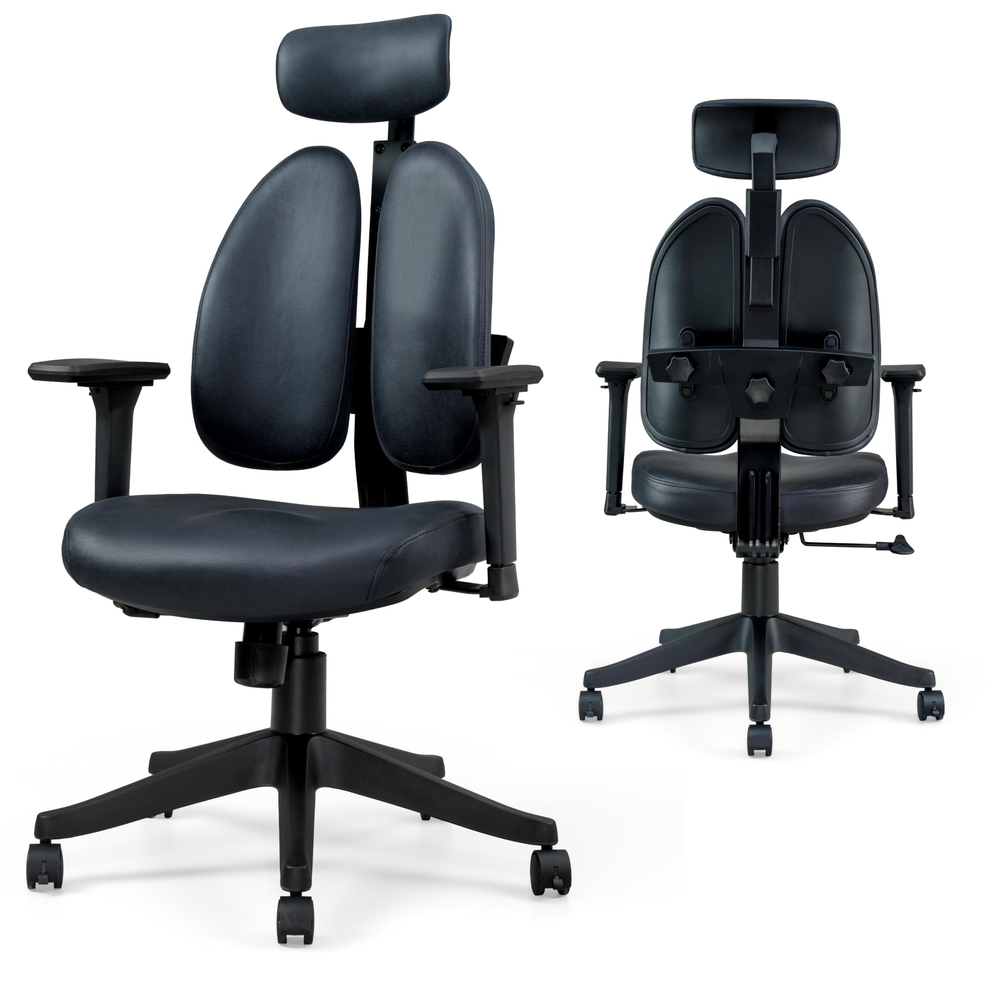 Flexispotergonomic Office Chair With Dual Back Support Home Office
