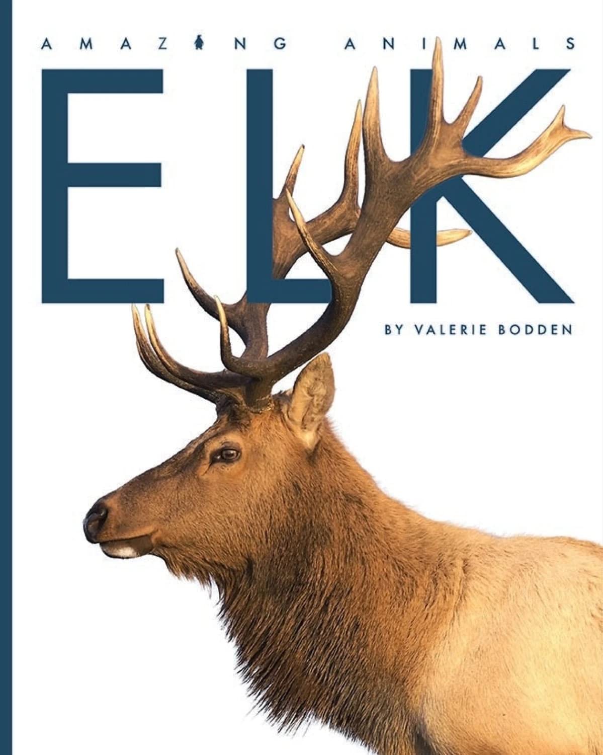 Elk (Amazing Animals)