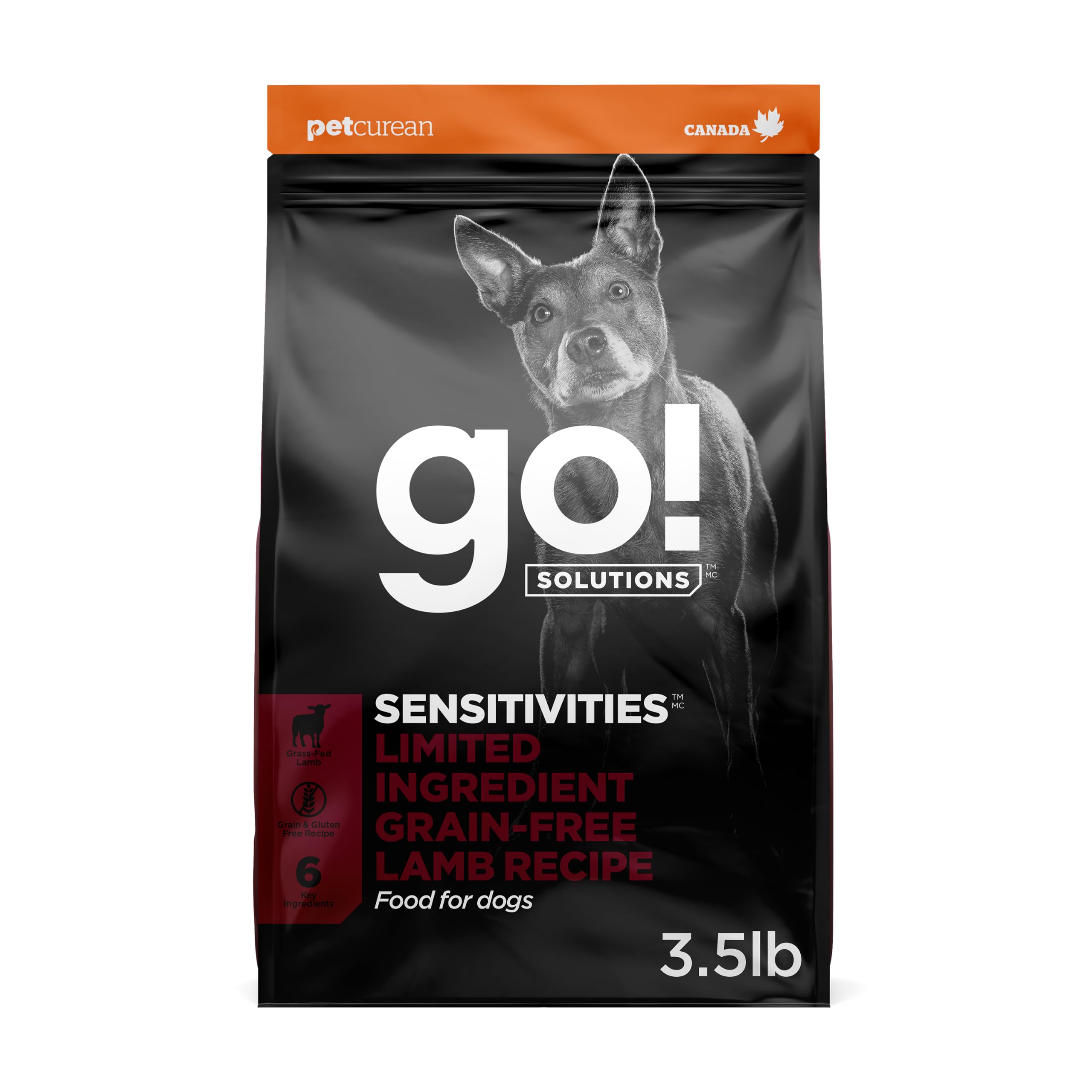 Go Solutions Sensitivities Limited Ingredient Lamb Dog Food