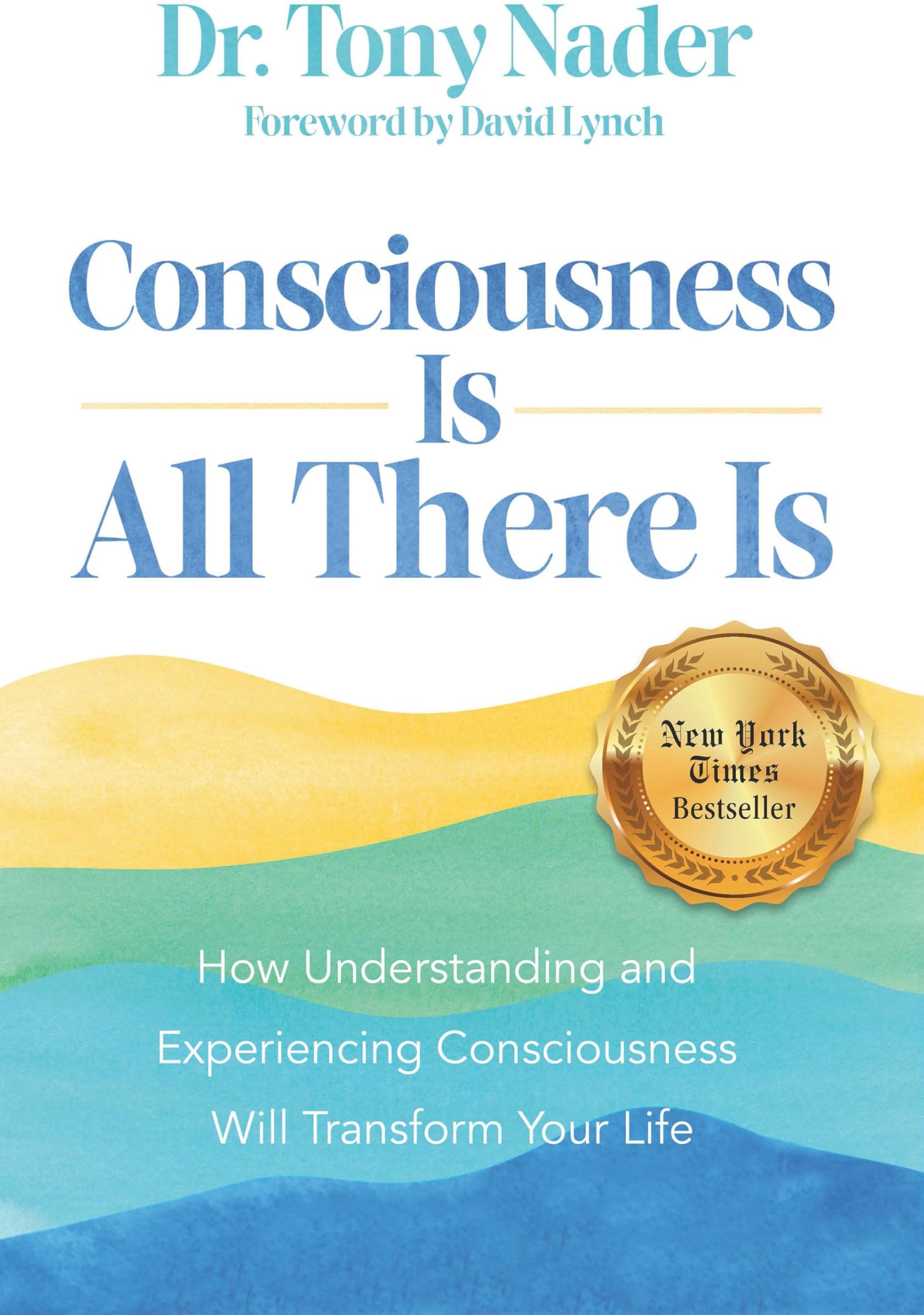 Consciousness Is All There Is: How Understanding and Experiencing Consciousness Will Transform Your Life