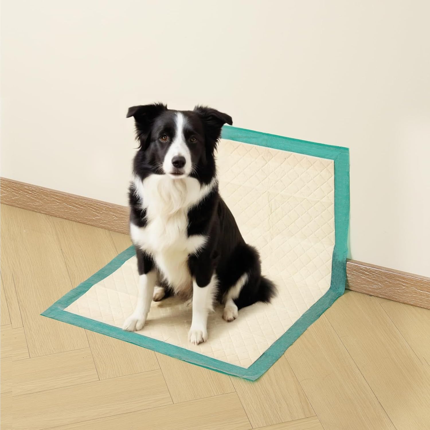 Gardner Pet Empapadores Perros 94x56cm-30 Unidades | Trapos Higiénicos Absorbentes Desechables para Perros,Super Absorbentes, Anti-Pérdida y Adhesivos Antideslizantes