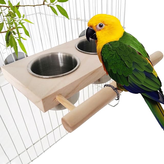 Comedero para Pájaros de Acero Inoxidable, Extraíble y Fácil de Limpiar