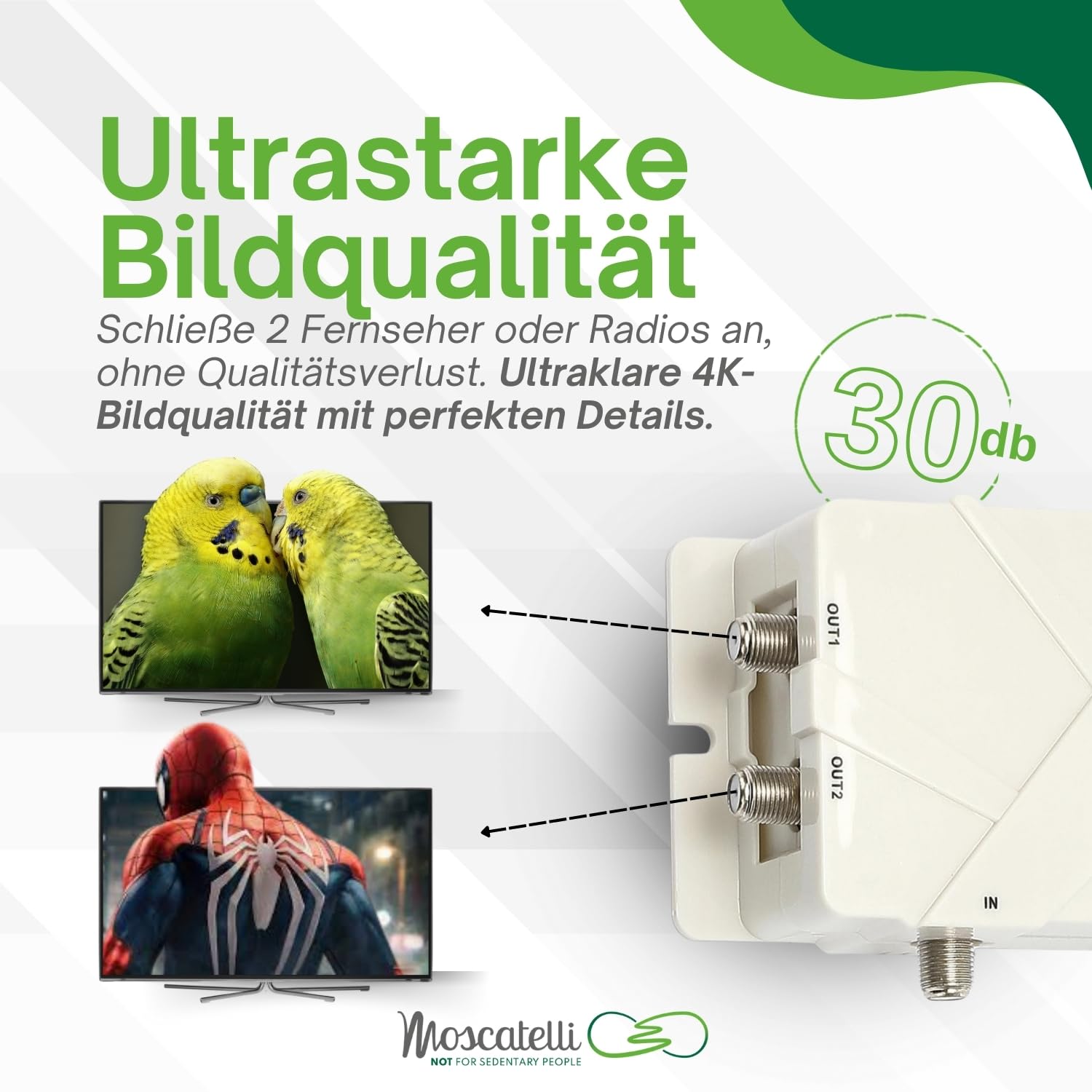 MOSCATELLI Omnidirektionale terrestrische DVB DVBT2 Outdoor Camping Antenne für Wohnmobile und Wohnwagen - 12/24/220V - Kit mit Kabeln, Verstärker und LTE Filter. Wasserdicht, UV-Schutz