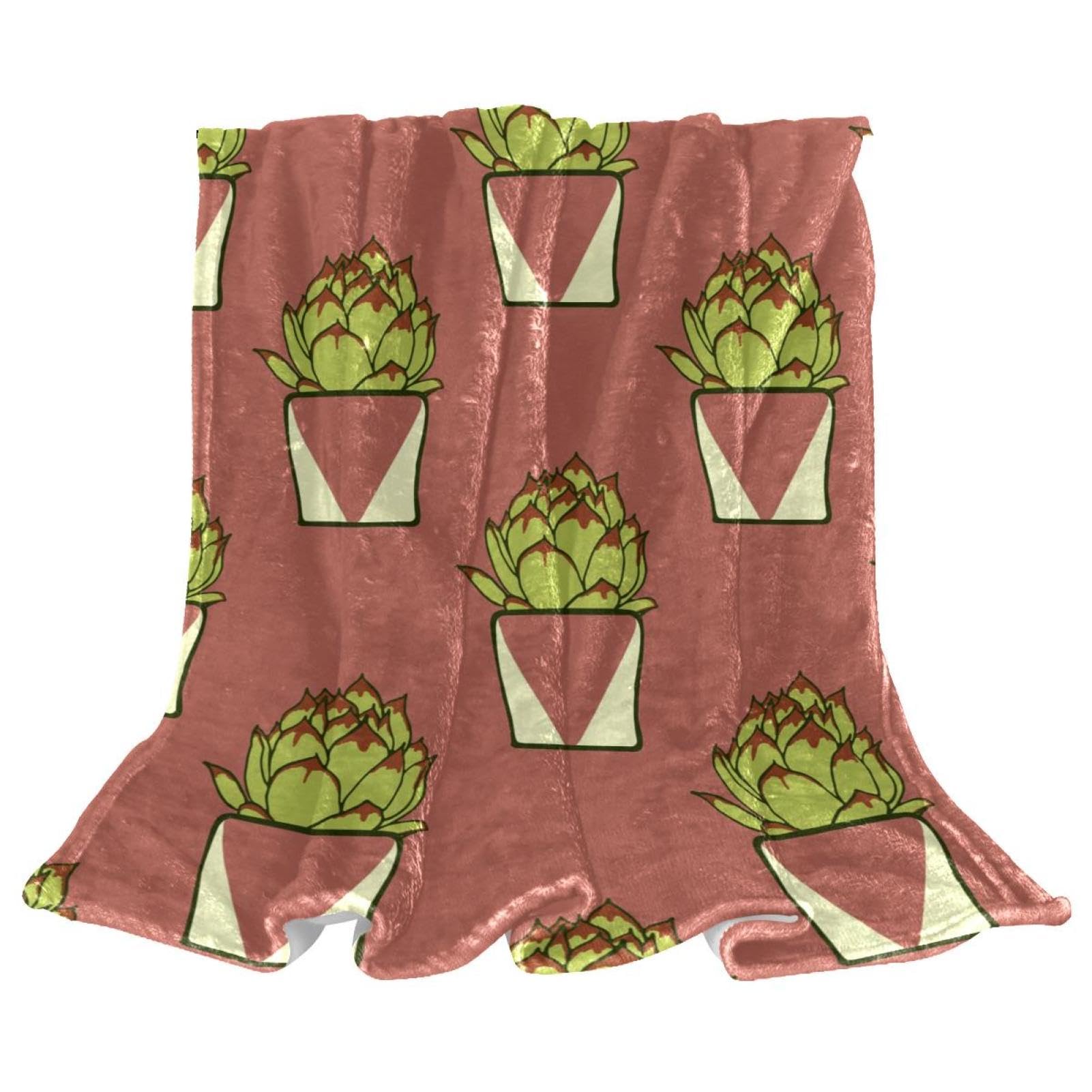 Plaid chaud cactus pour lits et divans : votre allié cocooning pour le salon