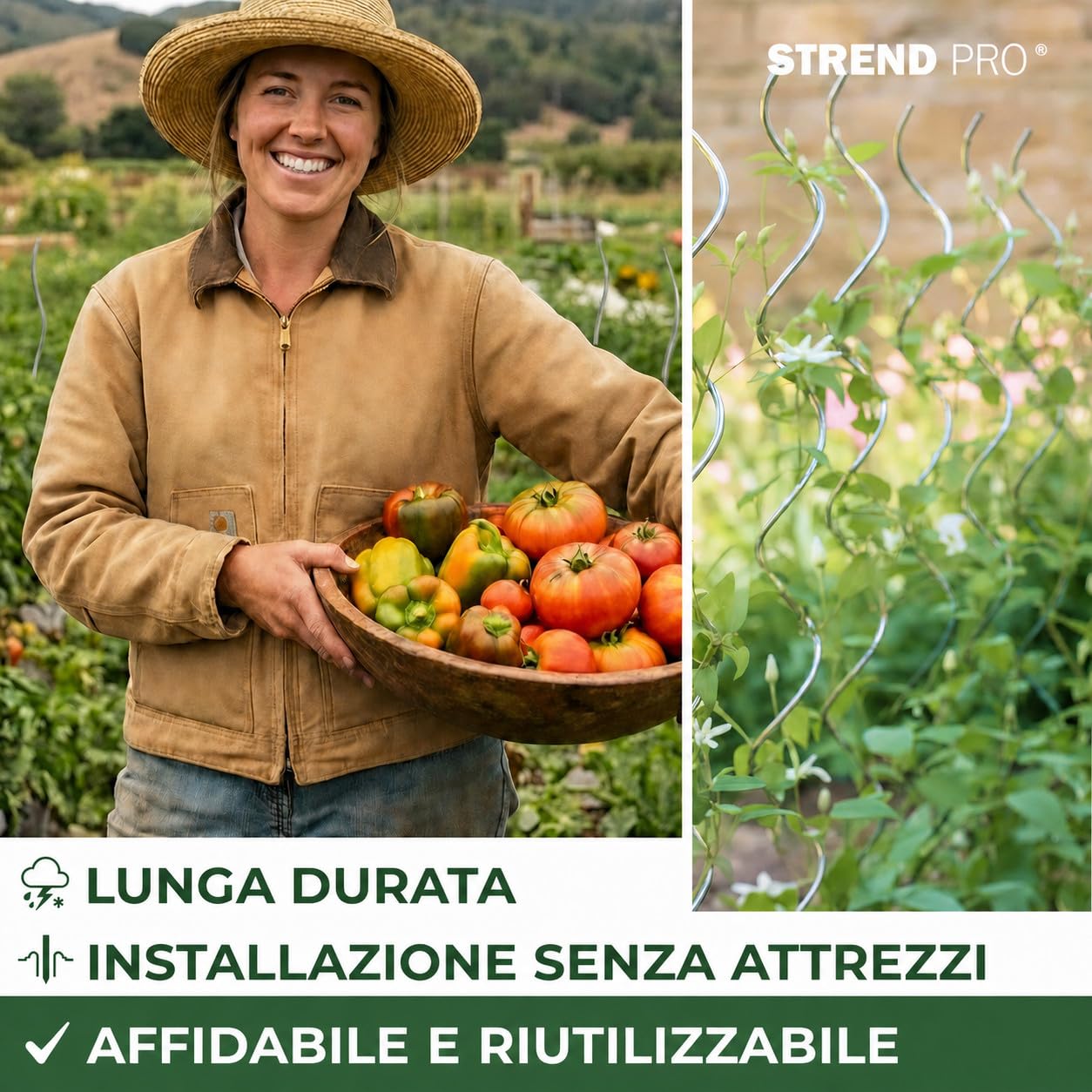 STREND PRO Tutori a Spirale per Pomodori 200 cm, Set da 25 | Ø 7 mm, Acciaio Zincato | Sostegni per Rampicanti