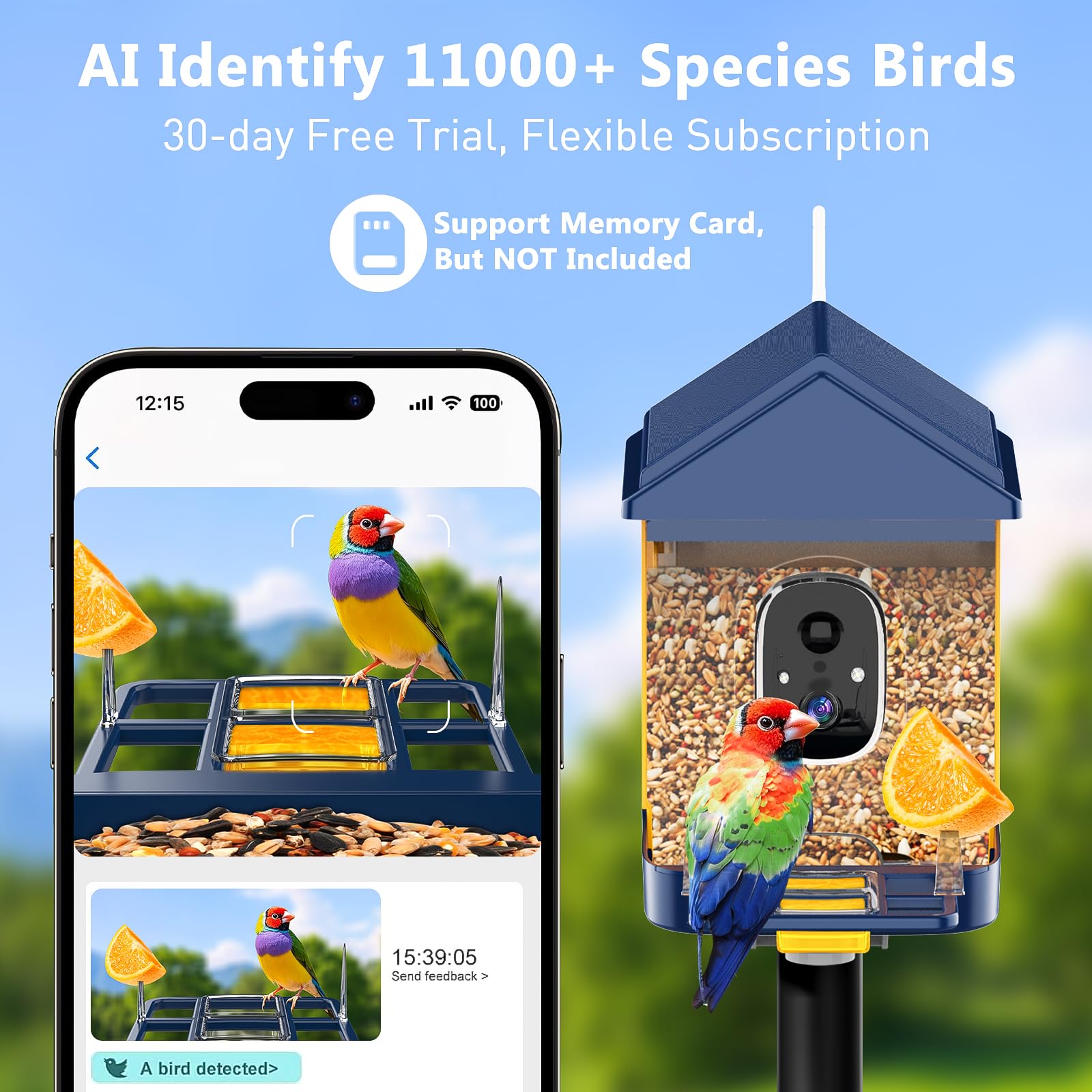 Comedero para pájaros con cámara con identificación IA, panel solar para pájaros de más de 10000 especies, casa inteligente para pájaros con cámara, vista en vivo 2K, alertas de llegada instantánea