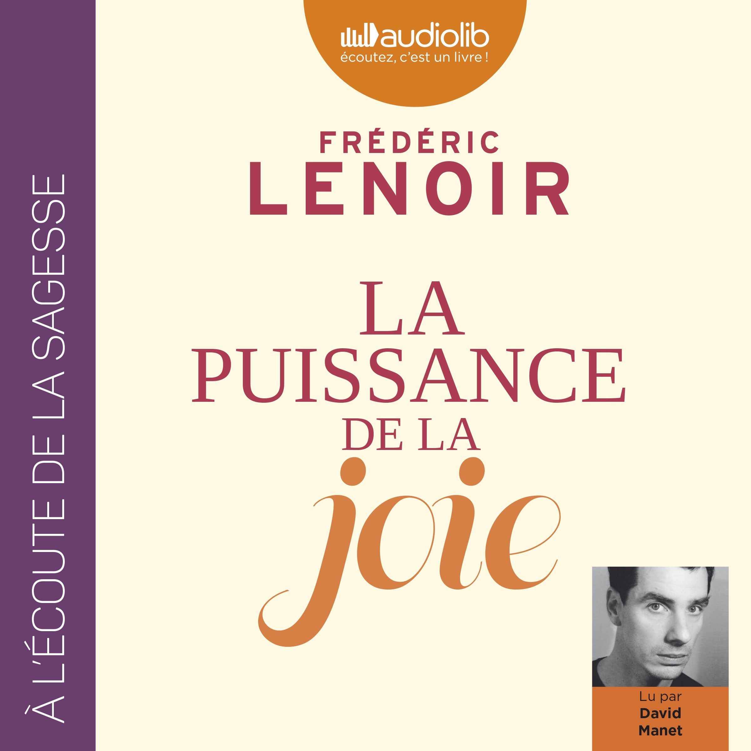 Cover art for La puissance de la joie