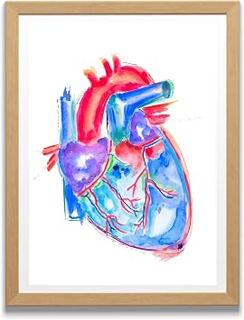 MEDPAPERS Heart Anatomy Watercolor Art Print Medical Office and Clinic Wall Decor General Practitioner Gifts 8.5x11 in A4