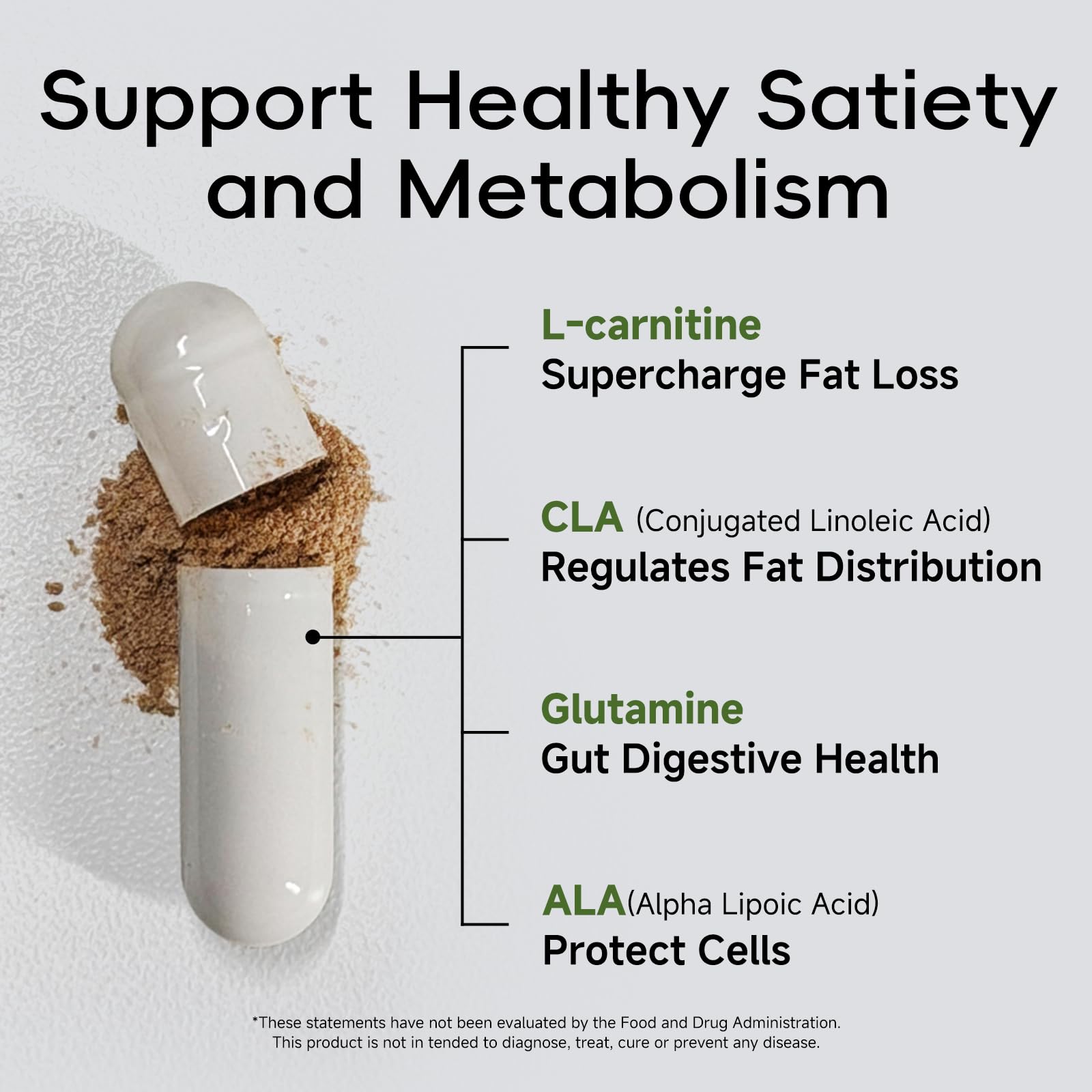 l carnitine digestion biosynthesis governs fuel switching Appetite Suppressant for Women/Men Balanced