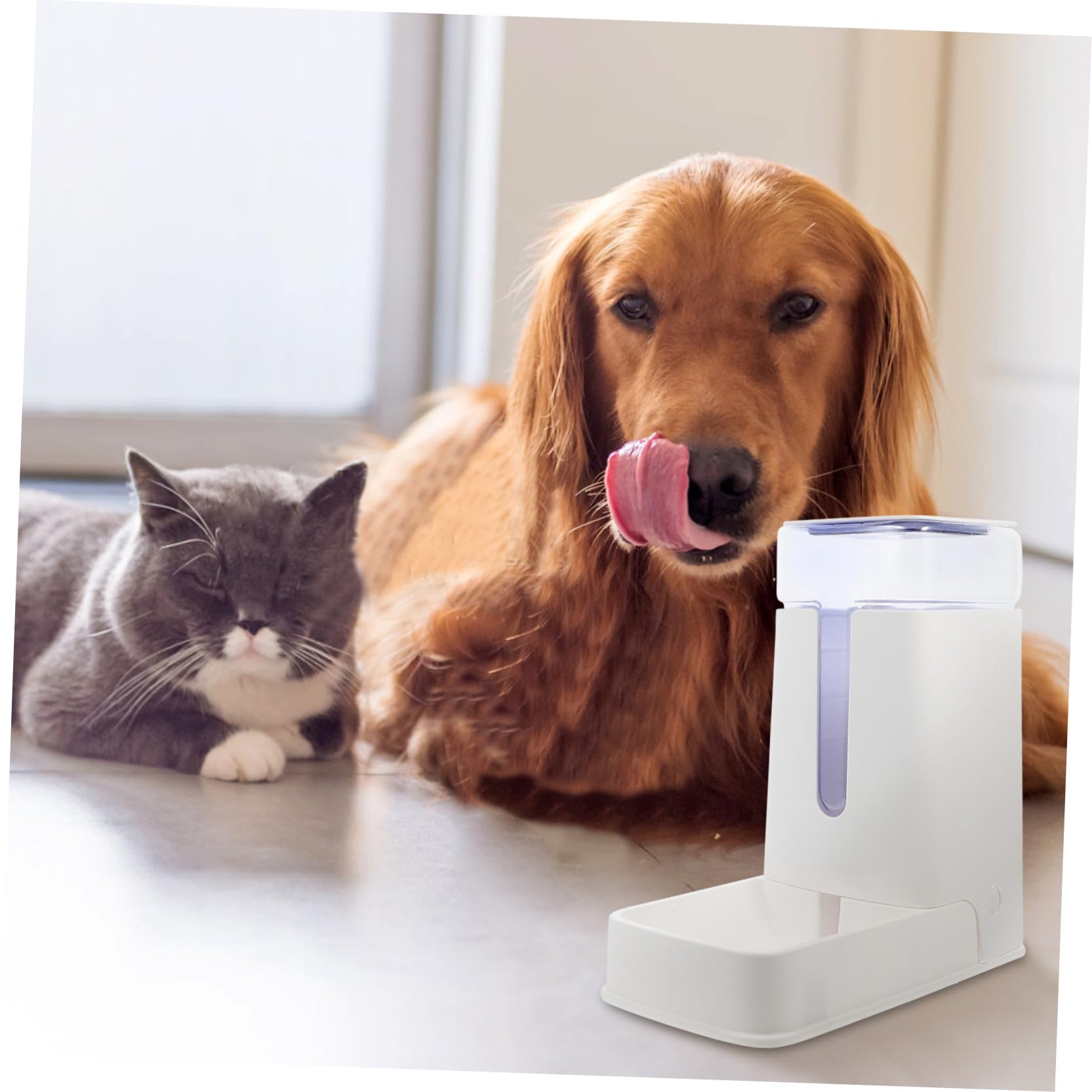 Automatischer Katzenfutterautomat für Haustiere mit Wasserspender Weiß
