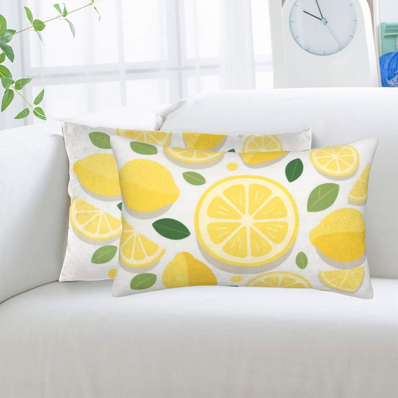 2 Pack Standard Pillowcases Sets, Ultra Soft Comfort Microfiber Plush Pillow Cases Summer Lemon Decorative Throw Pillow Cover with Hidden Zipper for Bedroom, Sofa, Couch,16"X24"