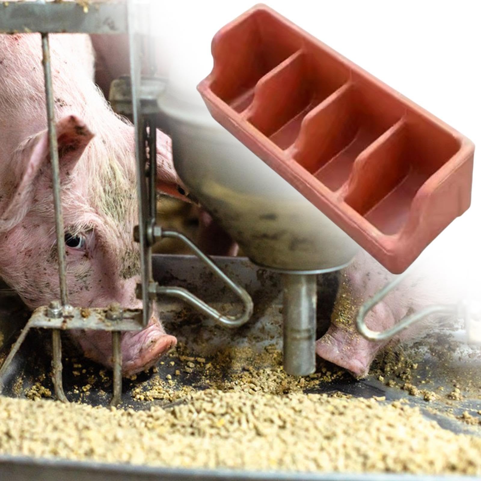 mangiatoia di maiale, mangiatoia, mangiatoia con 4 scomparti, alimentazione di bestiame, animali domestici, forniture agricole, abbeveratoio per piccoli animali, presepe di maiale
