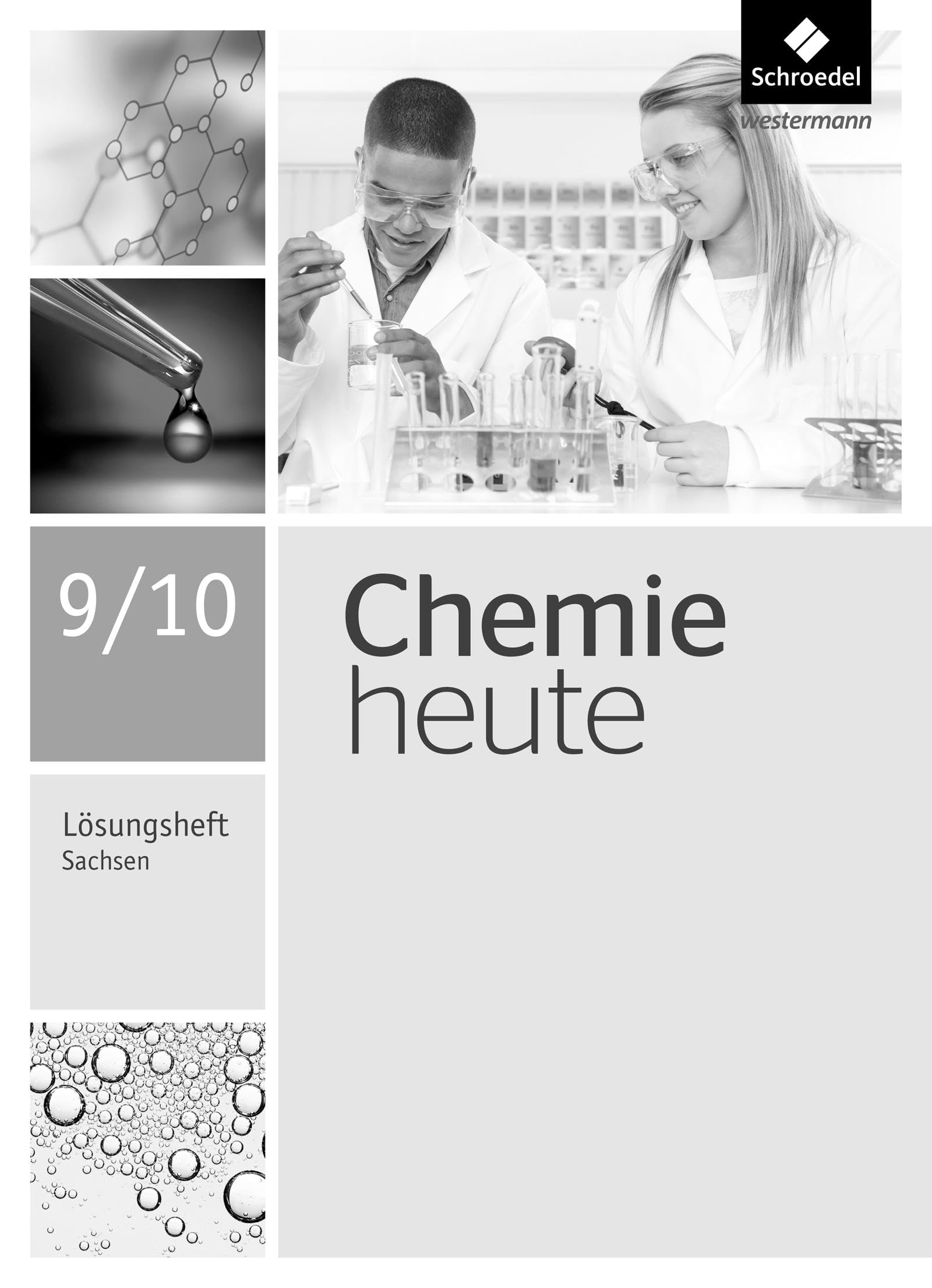 Chemie heute SI - Ausgabe 2013 für Sachsen: Lösungen Arbeitsheft 9 / 10