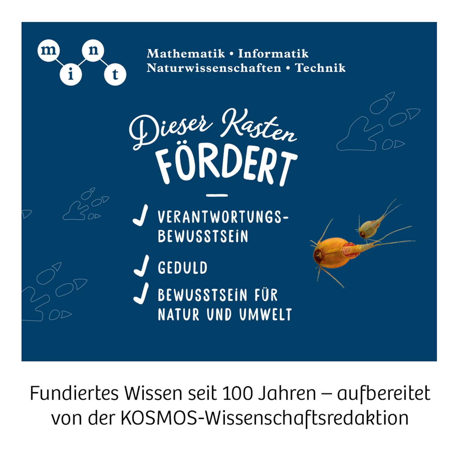 Triops-Welt: Experimentierkasten